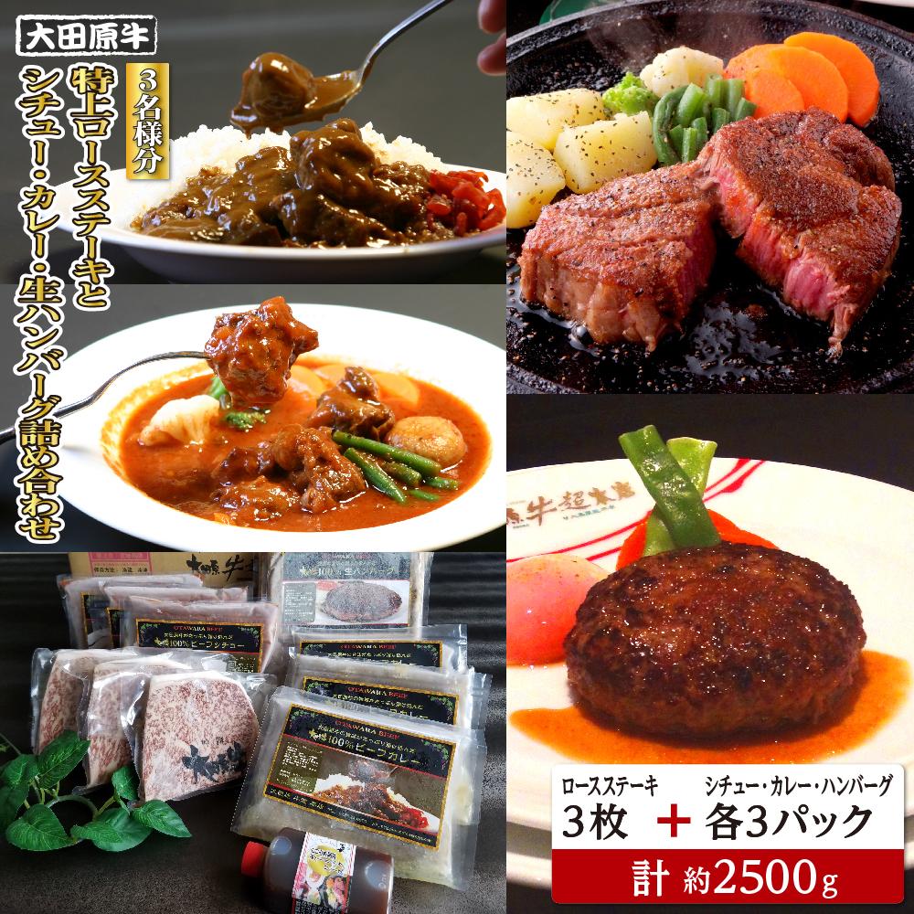 【ふるさと納税】【3名様分】大田原牛　特上ロースステーキ3枚とシチュー・カレー・生ハンバーグ各3パックの詰め合わせ