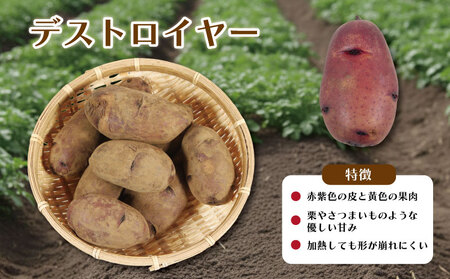 先行予約 じゃがいも 約5kg ニシユタカ デストロイヤー 【12月初旬~4月中旬頃発送予定】 じゃがいも