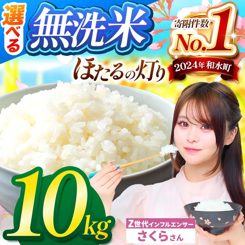 令和7年産 熊本県産 ほたるの灯り 無洗米 10kg | 選べる 銘柄 ほたるの灯り 森のくまさん 容量 5kg 10kg 15kg 20kg 25kg 30kg特A 小分け 訳あり 規格外 