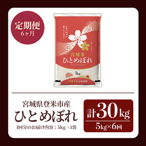 ≪令和7年産≫【6回定期便】ひとめぼれ 計30kg (5kg×6回配送) 登米市産 お米 おこめ 米 コメ 白米 ご飯 ごはん おにぎり お弁当 6か月 頒布会【登米ライスサービス株式会社】tm456
