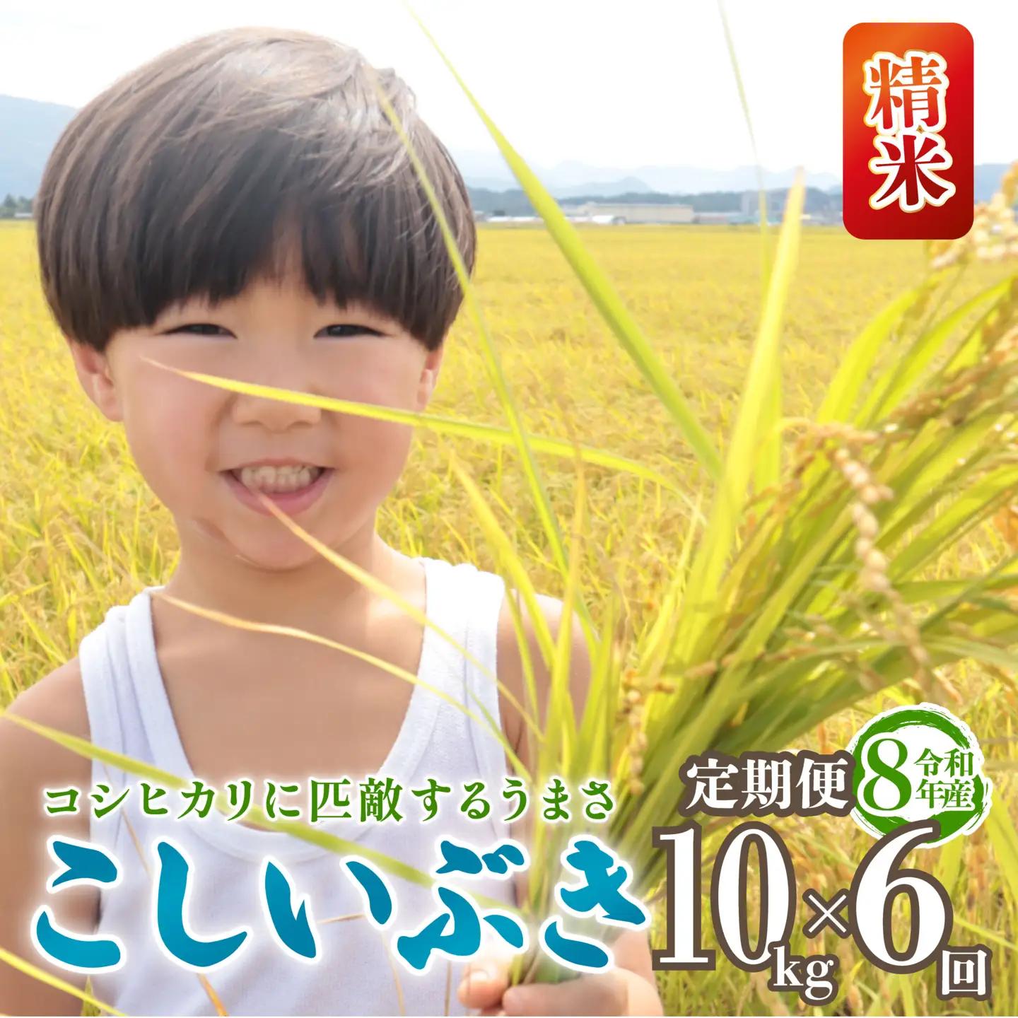 令和8年産 こしいぶき 定期便 10kg 6回 60kg 新潟 先行予約 新米 6か月 越後の新しい息吹 コシヒカリ の遺伝子を引き継ぐ 米 おこめ お米 ご飯 ごはん オニギリ お弁当 kome 送料無料 数量限定 農家直送 産地直送 国産 川瀬農園 四代目 悠助 新潟 新発田 kwsKI