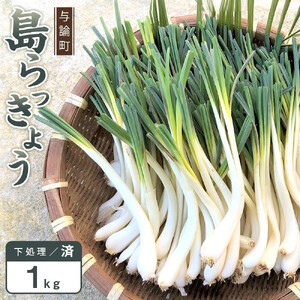 【令和8年3月頃発送】島らっきょう1ｋｇ(皮処理済）