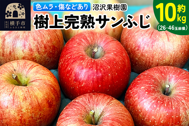 【色ムラ・キズ等あり】樹上完熟サンフジ 約10kg（26〜46玉前後）