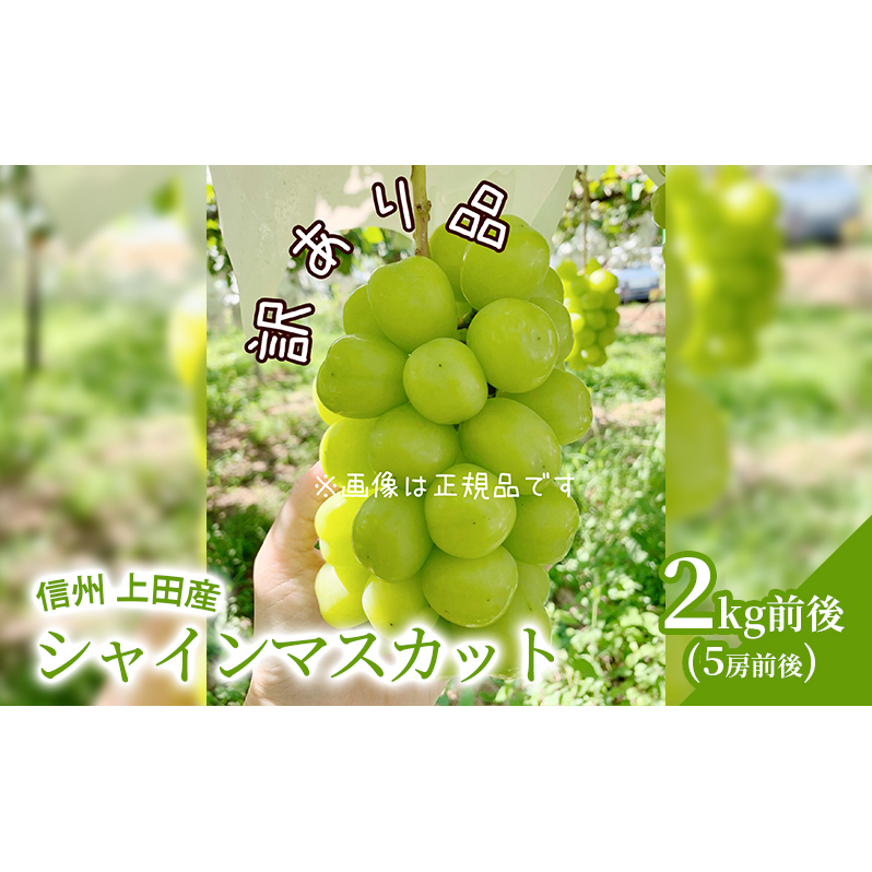 訳あり シャインマスカット 2kg前後 4房前後 ぶどう 葡萄 ブドウ マスカット 2kg 果物 くだもの フルーツ デザート 旬の果物 旬のフルーツ 訳アリ 長野県 長野