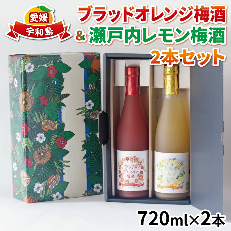 ブラッドオレンジ 梅酒 瀬戸内レモン 梅酒 各1本 -全国梅酒品評会2021金賞（最高位）受賞- 名門サカイ レモン オレンジ 飲み比べ セット 果実酒 柑橘 飲料 お酒 アルコール リキュール 果汁 フルーツ 果物 ギフト 贈答 国産 愛媛 宇和島