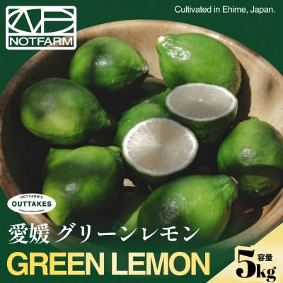 ふるさと納税 八幡浜市 【見た目訳あり、味は本物】グリーンレモン 5kg 愛媛県産 防腐剤・ワックス不使用【99-32】
