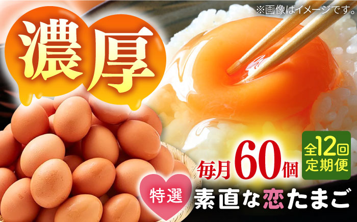 【全12回定期便】特選素直な恋たまご60個入り[JAP005] たまご 60個 鶏卵 玉子 大容量 国産 卵かけご飯 たまごかけご飯 すき焼き 目玉焼き 156000 156000円