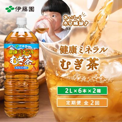 ふるさと納税 恵庭市 『定期便:全2回』健康ミネラルむぎ茶2L×6本×2箱【50001601】