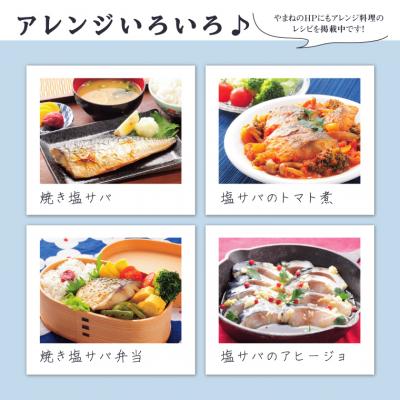 ふるさと納税 鳥取市 塩サバ 5本セット |  | 03