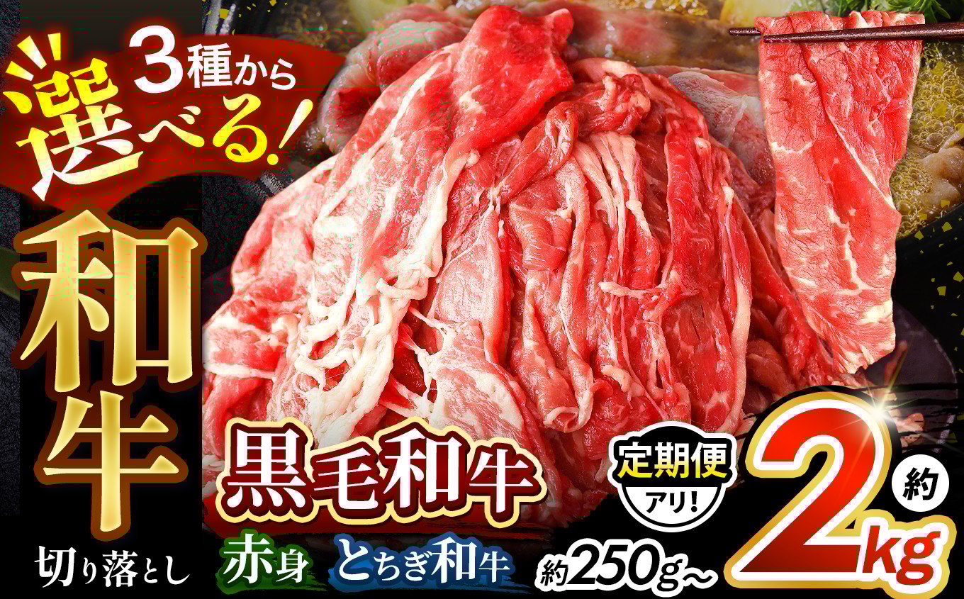 
            肉の逸品 人気急上昇！ 訳あり 栃木県産 牛肉 黒毛和牛 赤身切り落とし とちぎ和牛 ローススライス ｜選べる 定期便 1回 3回 6回 12回 お取り寄せ ギフト すき焼き しゃぶしゃぶ 焼肉用 500g 1kg 2kg | 牛丼 すき焼き 特産品 ご家庭向け 人気 安い プレゼント 贈答用 お買い得 数量限定
          