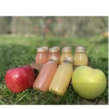 品種別ストレートりんごジュース計1800ml(180ml×10本)【1721686】