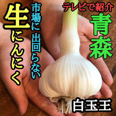 【ふるさと納税】青森生にんにく10玉★年に1度、収穫時期しか食べられない逸品です★【配送不可地域：離島】【1619307】