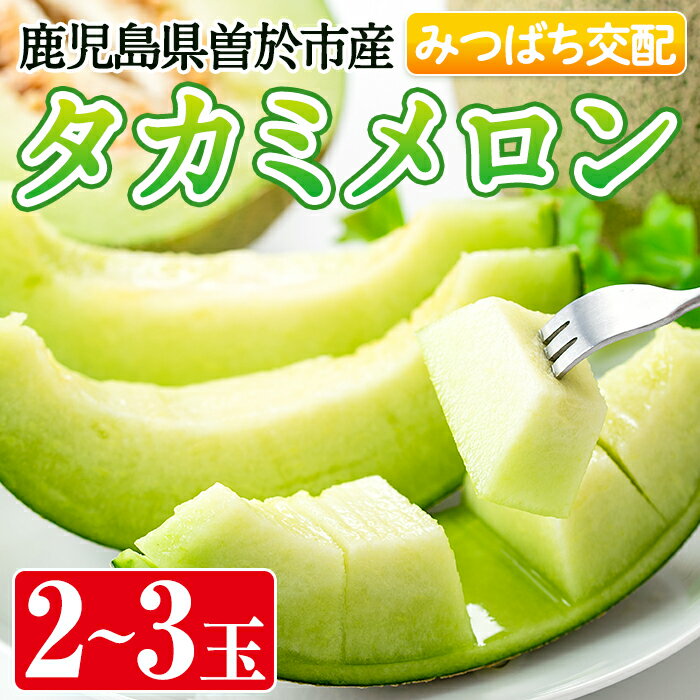 【ふるさと納税】＜期間限定！2025年5月中旬以降発送予定＞タカミメロン(2〜3個入) 鹿児島県産 メロン 青肉メロン 青肉 フルーツ 果物 プレゼント 贈り物 贈答用【曽於市観光協会】