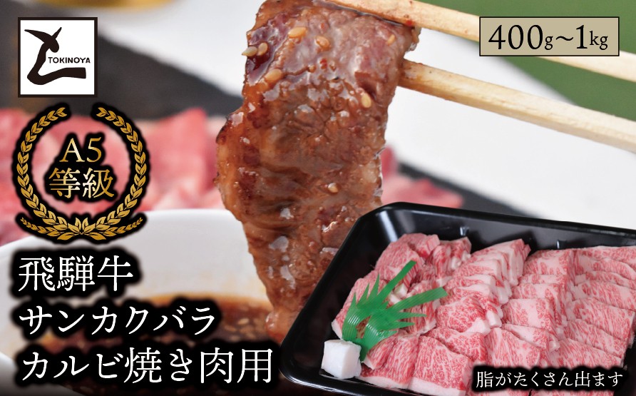 
                  ＼選べる容量／ A5 飛騨牛 サンカクバラカルビ 焼き肉用｜岐阜県産 国産 黒毛和牛 ブランド牛 スライス 霜降り 冷凍 贅沢 高級肉 バーベキュー お歳暮 お中元 ギフト プレゼント おすすめ トキノ屋食品.
                