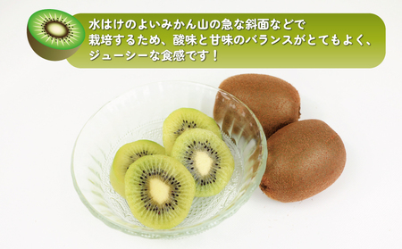 訳あり キウイ フルーツ 約4kg 杉本屋 【 訳あり キウイ 】F012-143002