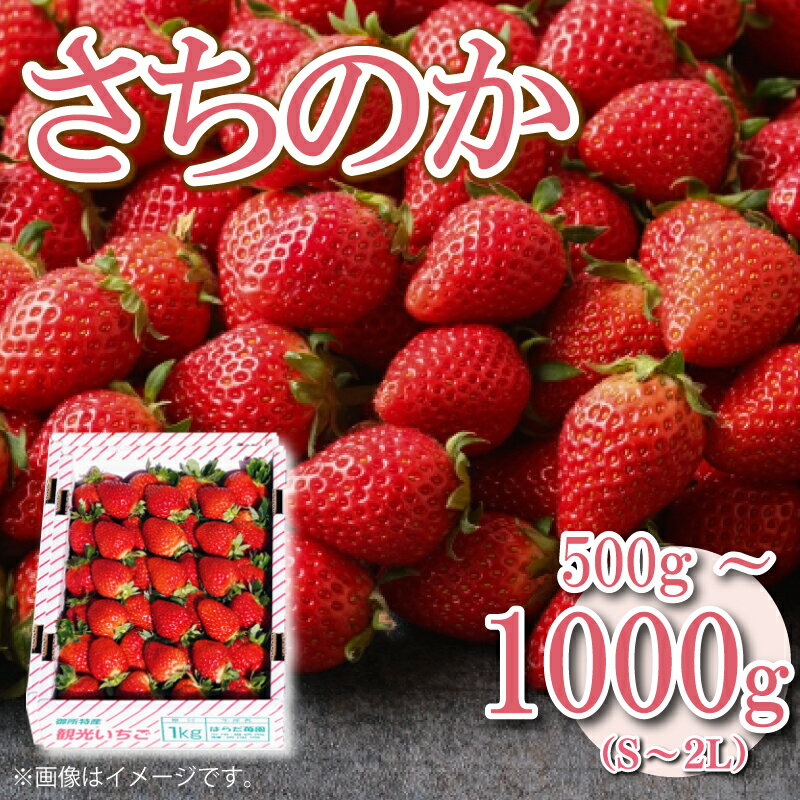 【ふるさと納税】 いちご 苺 500g 1kg S~2L サイズ混合 不揃い さちのか ジャム スイーツ ケーキ 果物 フルーツ デザート お菓子 ジャム アイス シャーベット スムージー ヨーグルト クレープ タルト チョコ 大福 フルーツサンド 阿波市産 徳島県 四国