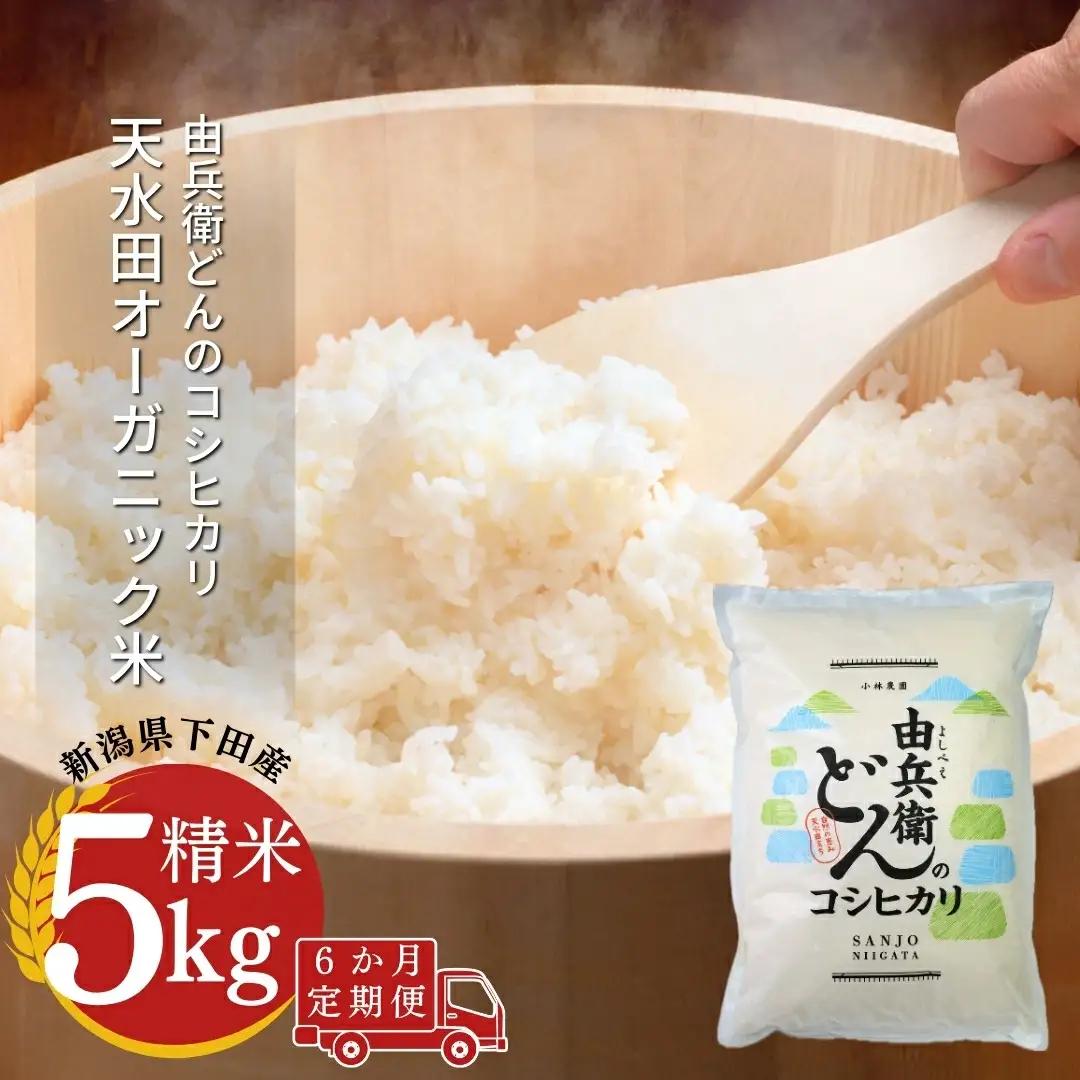 [定期便] 天水田で育った コシヒカリ 5kg × 6か月 オーガニック米 新潟県産 コシヒカリ