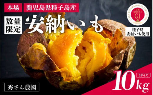 【先行予約】安納いも さつまいも 10kg (Sサイズ)【秀さん農園】種子島 焼きいも 焼き芋 本場 安納芋  さつま芋 甘い ねっとり スイーツ おやつ グルメ お取り寄せ おせち 人気 種子島産 返礼品 南種子町 鹿児島 かごしま 【観光物産館トンミー市場】