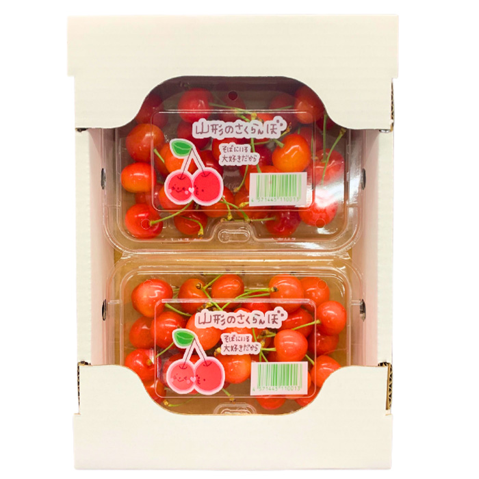 【定期便3回】やまがた 初夏さくらんぼから春いちごまでの定期便 [佐藤錦・シャインマスカット・いちご]【令和8年産先行予約】FS24-536