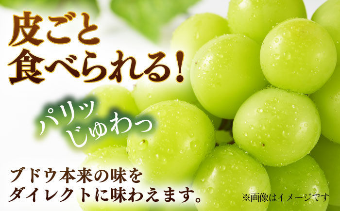 【先行予約】【数量限定】シャインマスカット 約2kg【日本フルーツ株式会社】 [ZFJ010]