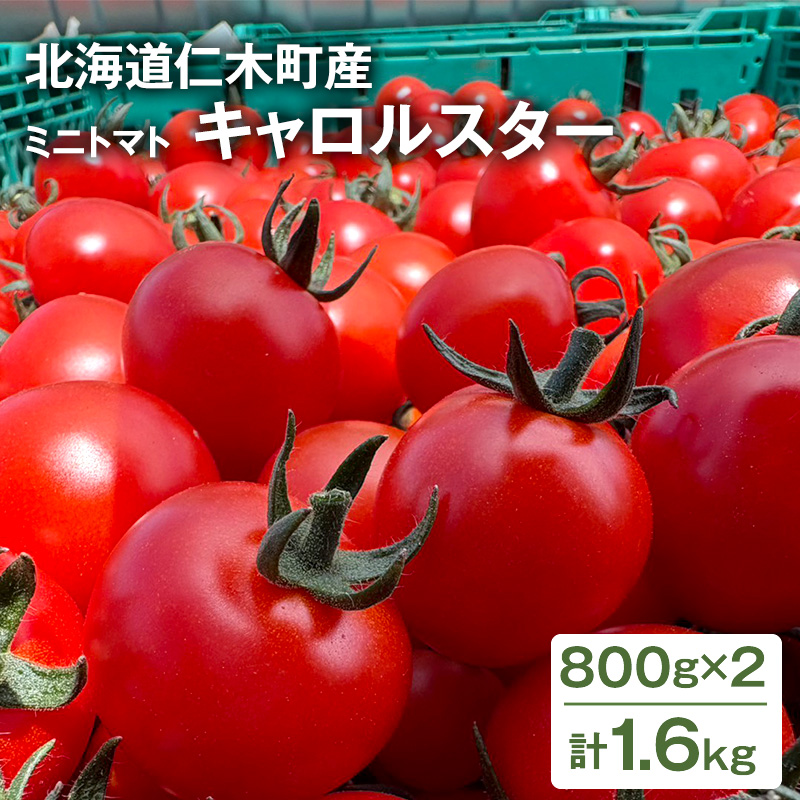 [先行受付] 北海道 仁木町産 ミニトマト キャロルスター 1.6kg （64粒～100粒）トマト 野菜 国産 プチトマト 甘み 使いやすい サラダ お弁当 家庭用 子供に人気 リコピン [REDA FARM]