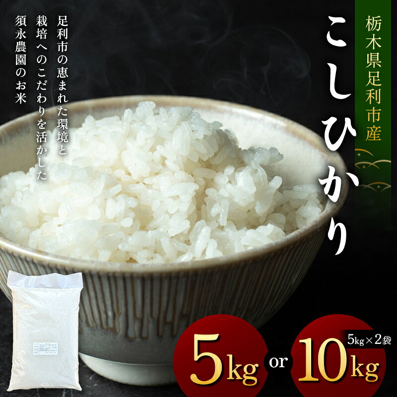 【ふるさと納税】＼選べる容量／令和7年産 栃木県足利市産 コシヒカリ 5kg 10kg〈5kg×2袋〉 精米 白米 米 こめ ごはん 食品 栃木県 足利市 F7Z-1971var