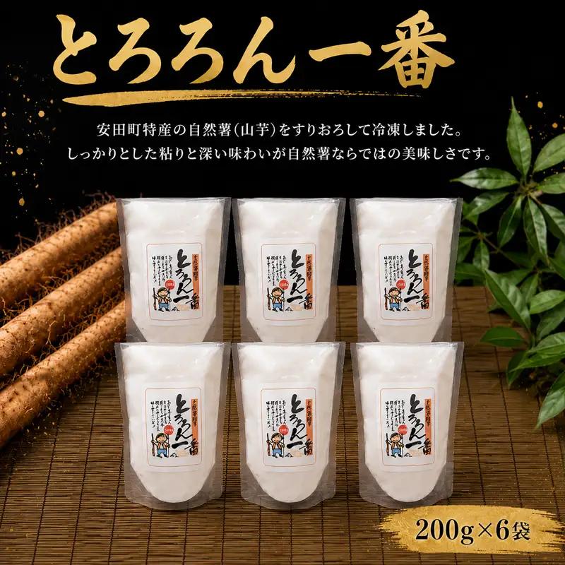自然薯とろろん1番 6袋 とろろ 冷凍 小分け 自然薯 JN0002