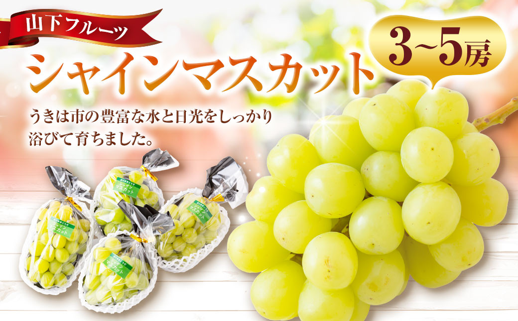 
            【先行予約】 山下フルーツ シャインマスカット 3房～5房 【2026年8月上旬～9月上旬より順次発送予定】 葡萄 ぶどう ブドウ 種無し 種なし 大玉 果物 くだもの フルーツ 果実 お取り寄せ 福岡県 うきは市 常温
          