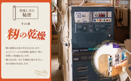 【6ヵ月定期便】令和8年産 コシヒカリ 玄米 20kg 新米 米 こしひかり 茨城県産こしひかり コシヒカリ 茨城産こしひかり 茨城こしひかり 茨城県産 こめ コメ お米 2026年産 ごはん 数量限