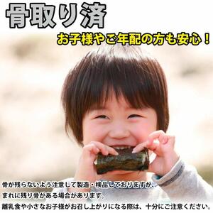 骨取り塩銀鮭 切身 10切(5切×2パック) [BM04] | 鮭切り身 鮭 骨抜き