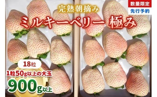 
                  いちご 完熟 朝摘み ミルキーベリー 極み 18粒【2027年 先行予約】
                