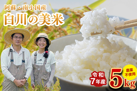 令和8年産・新米 白川の美米 5kg 令和8年産 南小国産 玄米 白米 3分づき 5分づき 7分づき 森のくまさん 精米 米 お米 ご飯 ごはん 無農薬 農薬不使用 自然栽培 産地直送 白川自然農園 熊本 南小国 送料無料 [B9-9601]