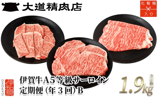 【化粧箱入 伊賀牛】A5サーロイン 3回定期便コースB【dido-tkb0002】