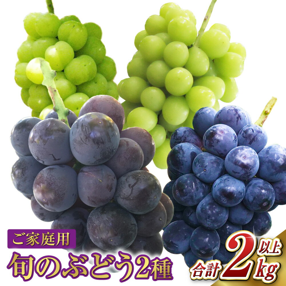 【ふるさと納税】 ぶどう 2025年 先行予約 ご家庭用 旬の ぶどう 2種類 合計2kg以上 産地直送 ブドウ 葡萄 岡山県産 国産 フルーツ 果物 たけまさぶどう園　果物・ぶどう・フルーツ【2025年8月下旬～10月下旬 発送予定】