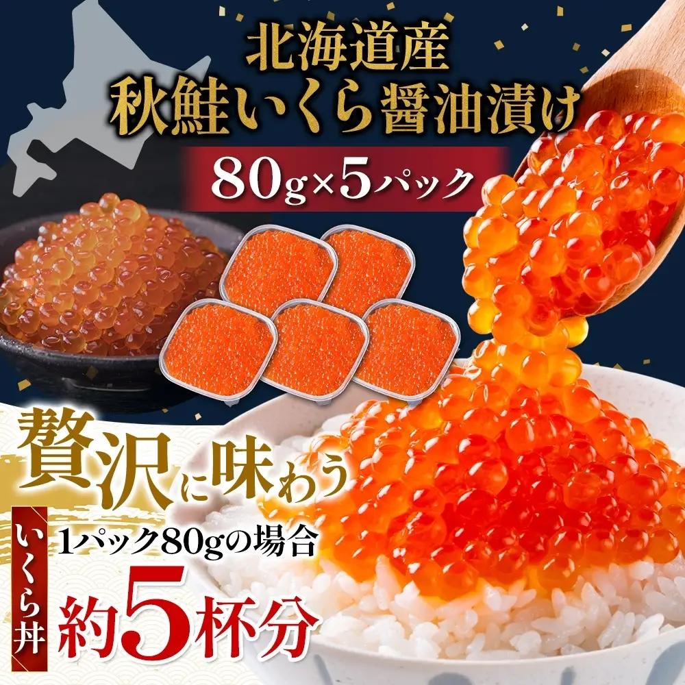 塩 いくら 80g×5 イクラ 【BK】