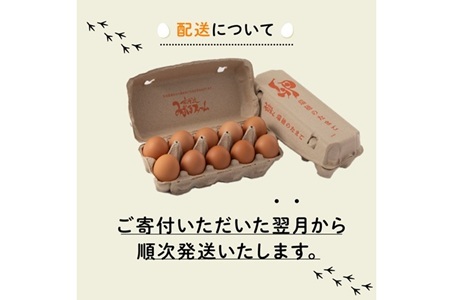 京丹波 赤たまご 80個  約5kg【卵】 [010MF004]