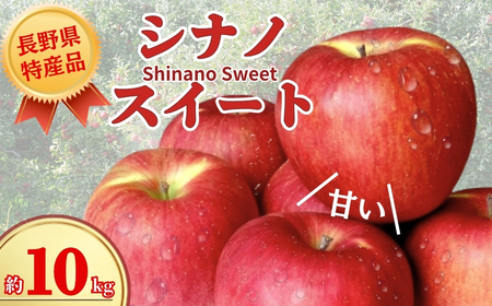 りんご シナノスイート 長野県オリジナル品種 約10kg りんご三兄弟 次男｜りんご