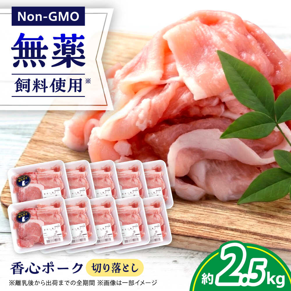 【ふるさと納税】『香心ポーク』切り落とし 約250g×10パック（計約2.5kg）豚肉 冷凍 熊本県産 【有限会社 コーシン】 豚肉 国産 熊本県 熊本 冷凍 大容量 約2.5kg 小分け 250g 炒め物 豚汁 豚丼 肉じゃが 生姜焼き 小間切れ 煮物 こま切れ おかず セット [AYCK017]