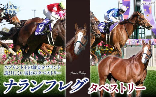 【ナランフレグ】タペストリー 【ふるさと納税 人気 おすすめ ランキング 馬 競馬 競走馬 引退馬 ナランフレグ タペストリー 壁掛け インテリア 飾り 生活 日高 北海道 平取町 びらとり 送料無料】 BRTV352