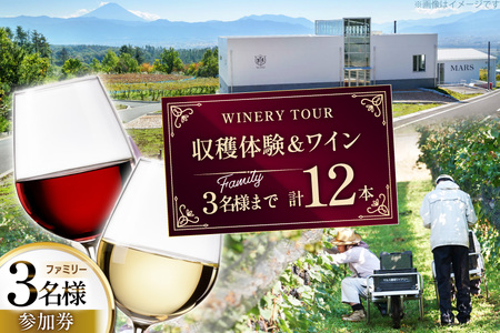 ワイン 収穫体験＆ワインセット 12本 ファミリー 3名様まで 参加券 ワイナリー [本坊酒造マルス穂坂ワイナリー 山梨県 韮崎市 20745175]