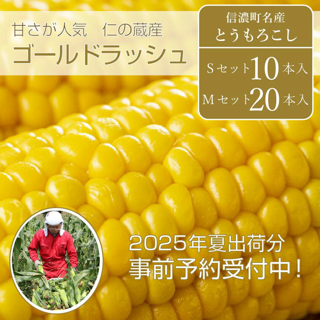 【ふるさと納税】 仁の蔵『ゴールドラッシュ 10本』【2025年夏の予約受付開始！】7月下旬出荷開始！長野県信濃町産とうもろこし ／スイートコーンの人気品種の予約受付中｜ 7月下旬～8月下旬随時出荷【長野県信濃町ふるさと納税】