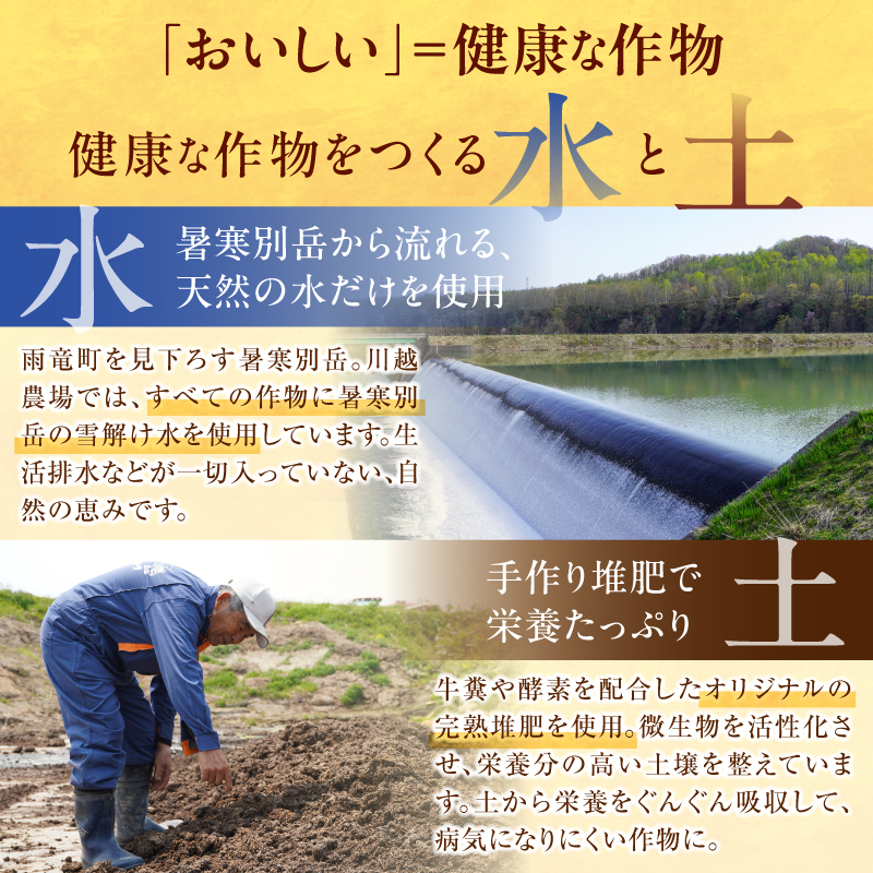 【最短4～7営業日発送】令和7年産 川越さんちの おぼろづき 5kg (5kg×1袋) 雨竜産 おぼろづき 精米 5kg お米 おにぎり お弁当 お取り寄せ 北海道 雨竜町