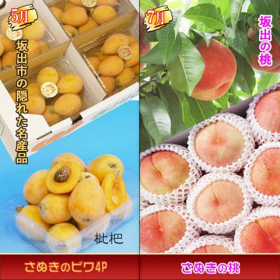 ふるさと納税 坂出市 【発送月固定定期便】創業100年坂出産のフルーツとさぬきの特産品の定期便【Cコース5回】全5回 |  | 01