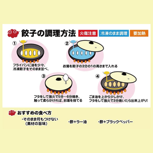 旨味たっぷり！本場プロの中華料理人が作る みとしゃんジャンボ餃子プレミアム 24個（CS-9）