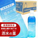 【ふるさと納税】長期保存水 泗水の里 500ml 1ケース（24本入） 賞味期限2028年3月24日＜災害　防災　備蓄　キャンプ　アウトドア　外遊び　水分補給＞