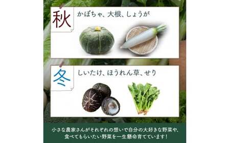 【少量多品種】 四万十育ちの地採れ 野菜セット （6〜8種類）野菜 ／Qjs-A21
