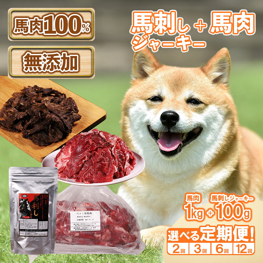 【ふるさと納税】 定期便 ペット用 馬刺しジャーキー100g 馬肉1kg 満喫セット 肉 馬肉 馬刺し ジャーキー 赤身 ペット用 ドッグフード 犬 無添加 おやつ ヘルシー 熊本県 水上村