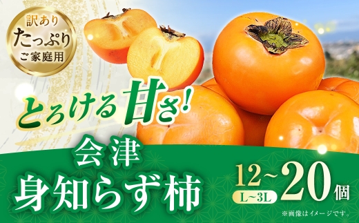 【 訳あり 】 とろける甘さ！ 会津身知らず柿 L～3L 12個～20個 たっぷりご家庭用 柿 果物 フルーツ デザート 大玉 渋抜き 甘み 滑らか 果汁 とろとろ 【 2026年11月下旬から12月上旬発送予定 】 
