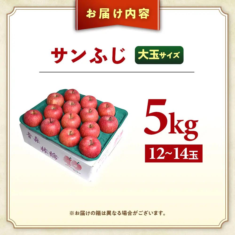 青森県産りんご 大玉 サンふじ 約5kg 11月下旬～ りんご