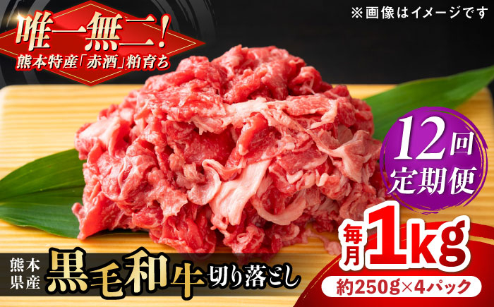 
            【全12回定期便】熊本県産 『原田畜産』 黒毛和牛 切り落とし 計約1kg（約250g×4パック） 牛肉 牛【有限会社 九州食肉産業】 [AYCN047]
          